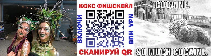 Купить закладки  Красноармейск  COCAIN Боливия 