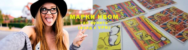стаф Кулебаки
