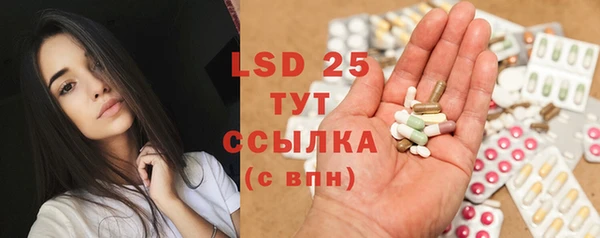 стаф Кулебаки