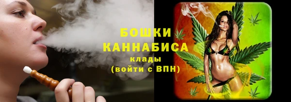стаф Кулебаки