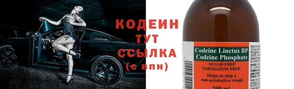 стаф Кулебаки