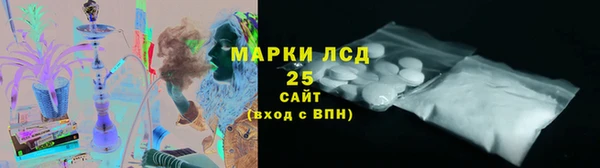стаф Кулебаки