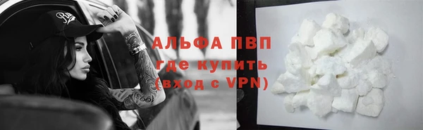 стаф Кулебаки