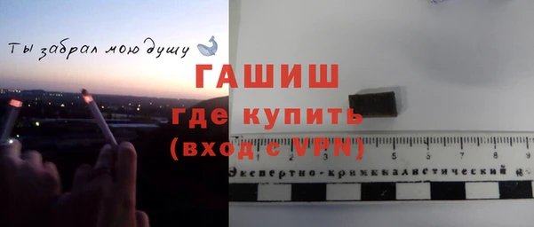 стаф Кулебаки
