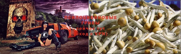 альфа пвп Лабытнанги