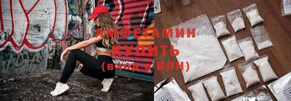 стаф Кулебаки